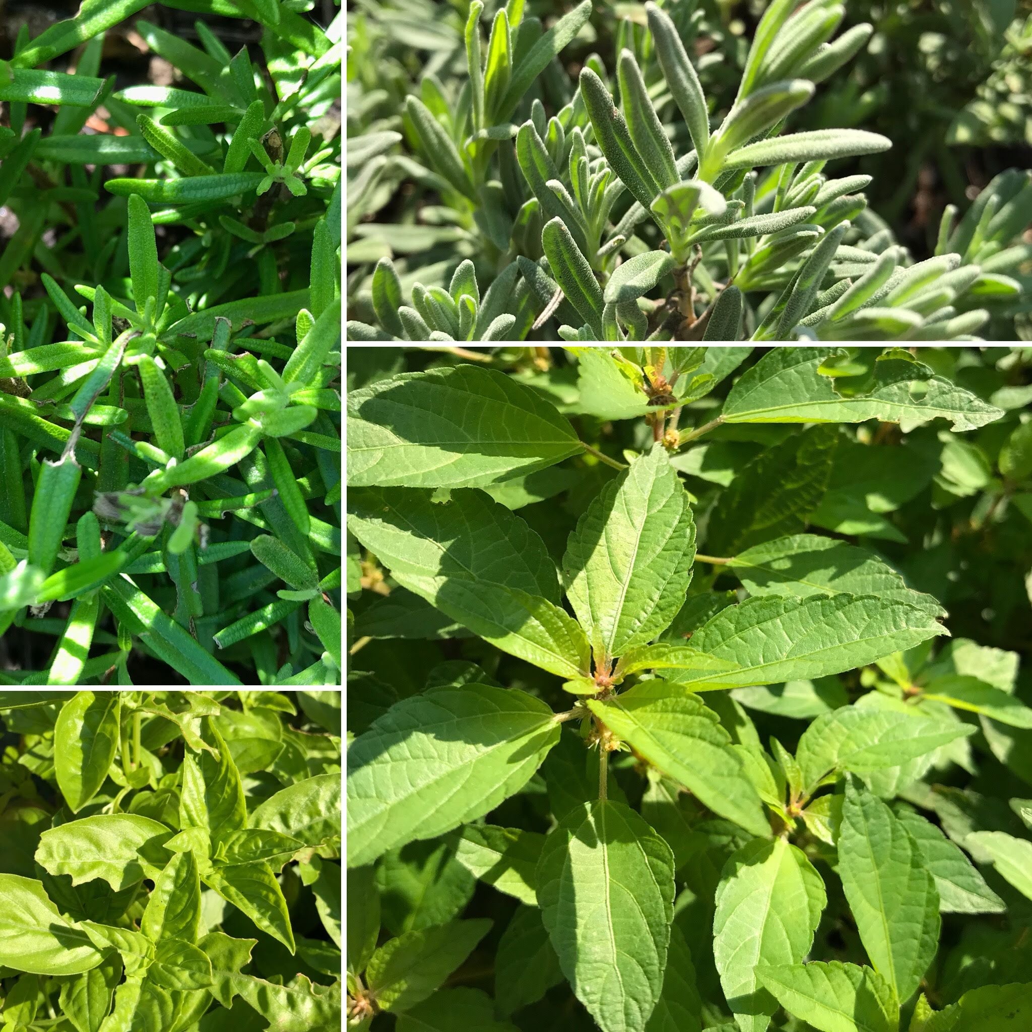 Put Your Kids to Work in the Kitchen With This Simple  Recipe