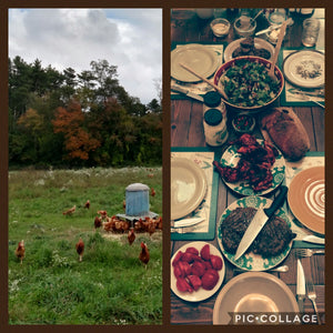 Autumn's Arrival
