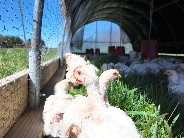 May - Newsletter - Copicut Farms