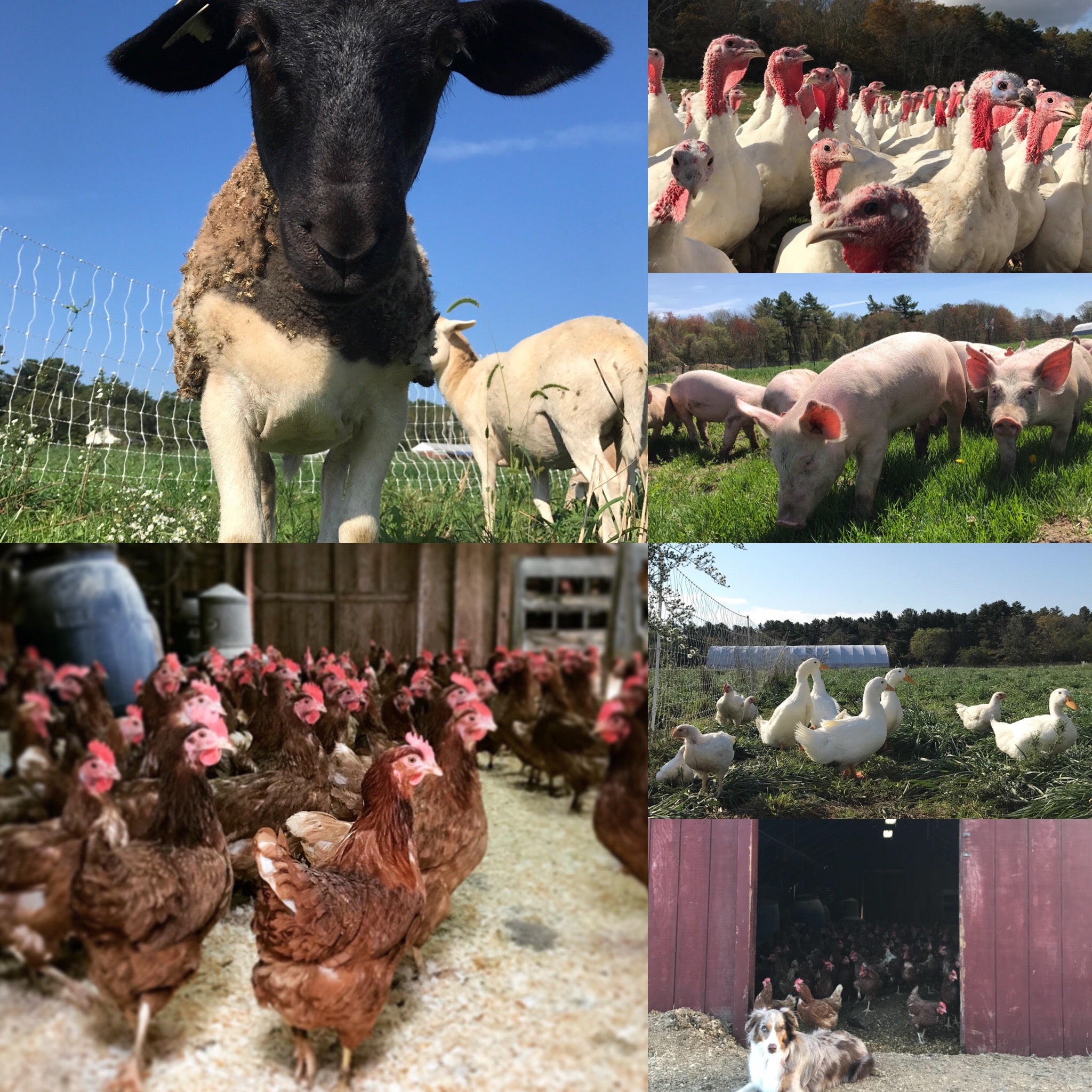 2018 Farm Share Sign Up