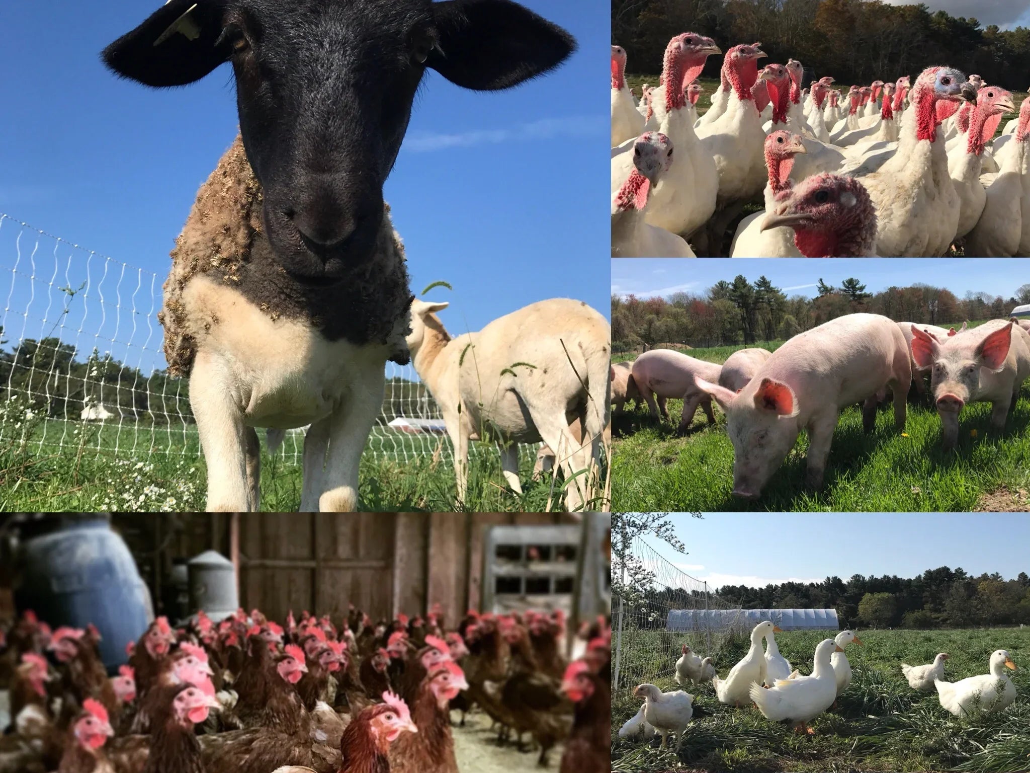 2018 Farm Share Sign Up