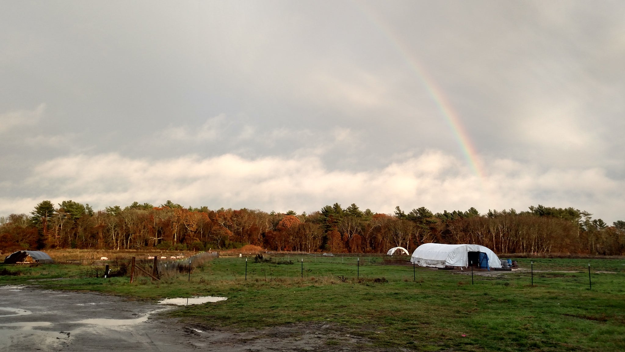 Falling into Winter: A Farm's Change