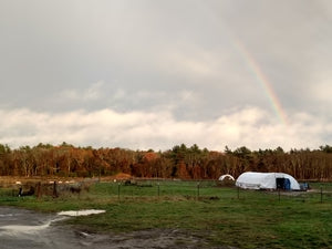 Falling into Winter: A Farm's Change