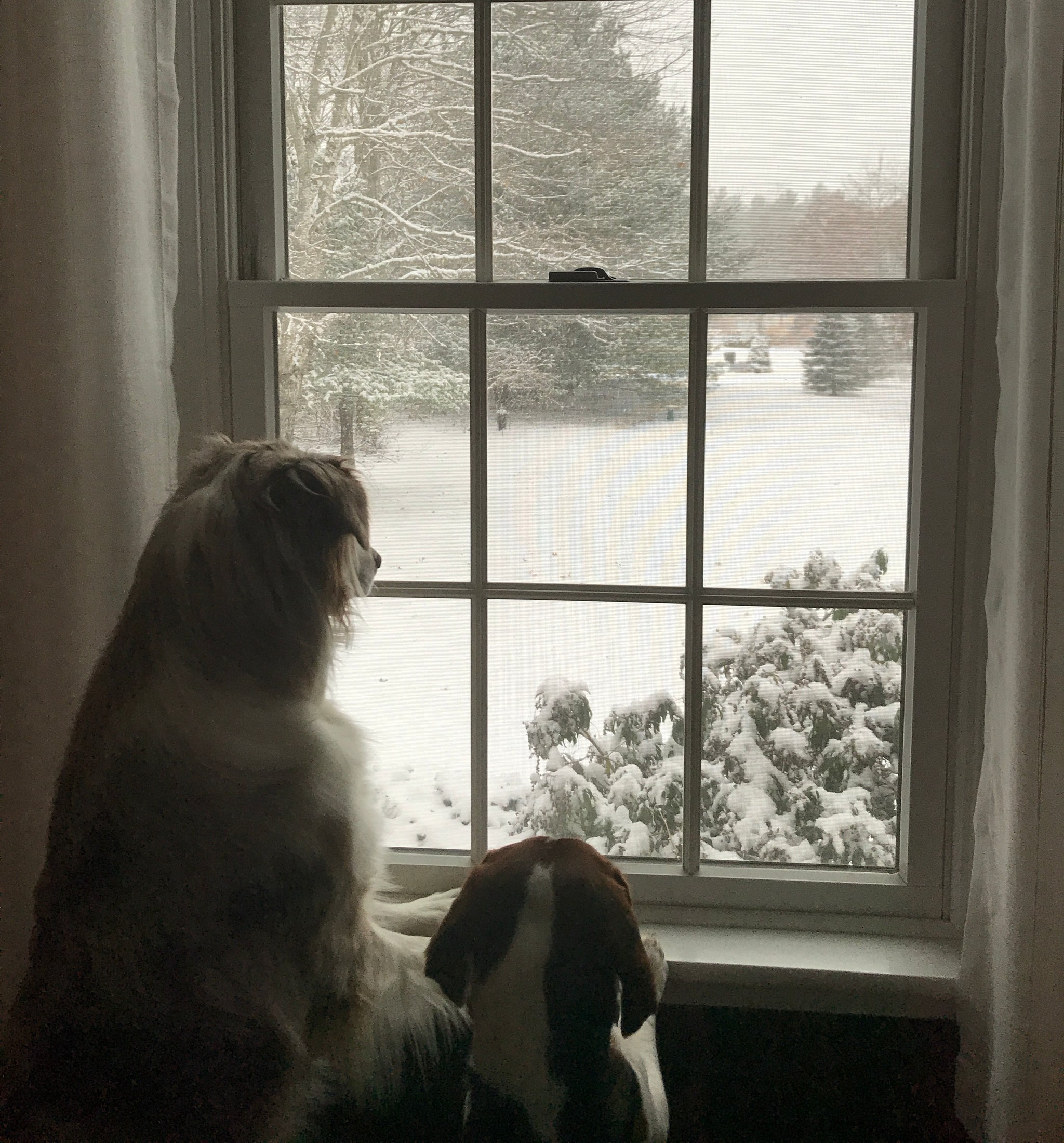 Surviving February - 2018 Farm Share Signup