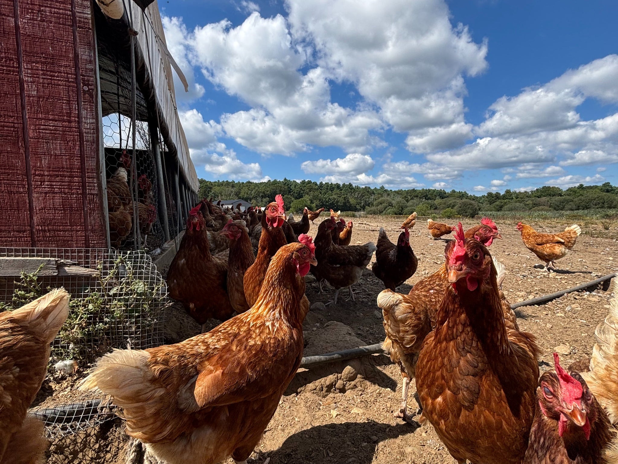 July - Newsletter