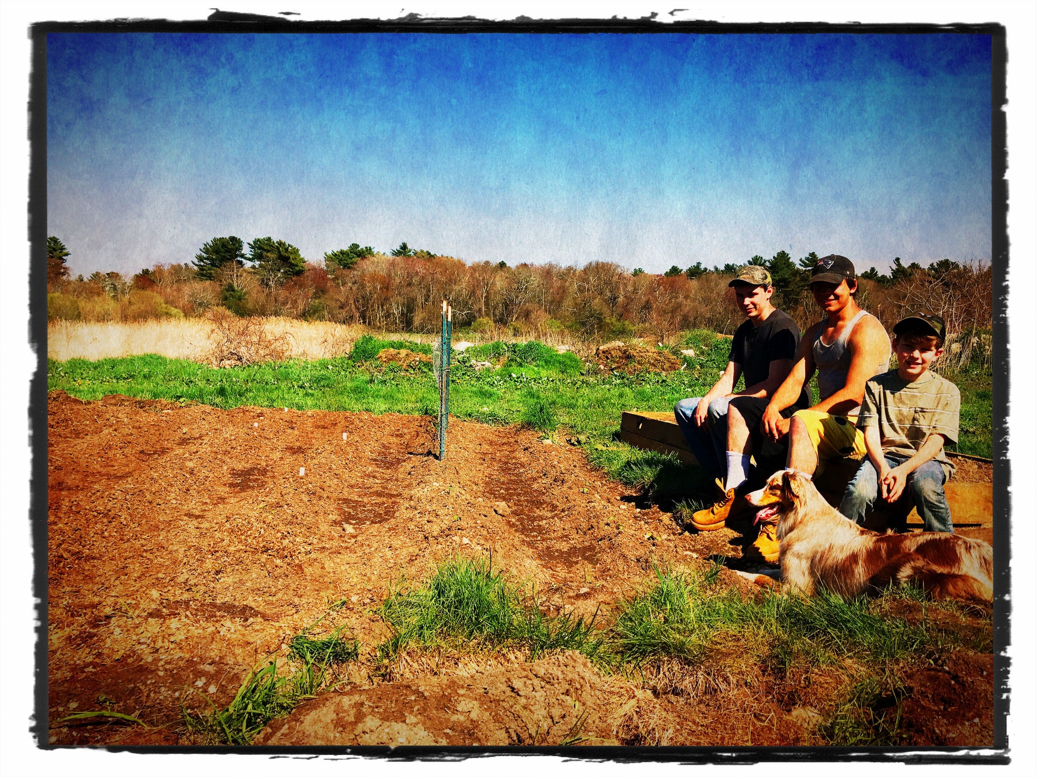 Spring Time is Garden Time!