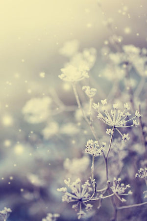 Spring is (almost) here!